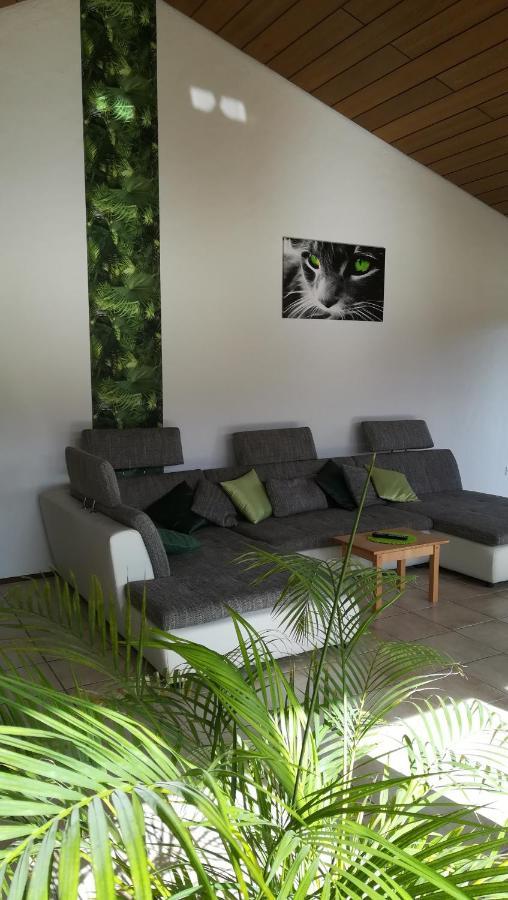 Ferienwohnung Froehlich Dorfprozelten Экстерьер фото